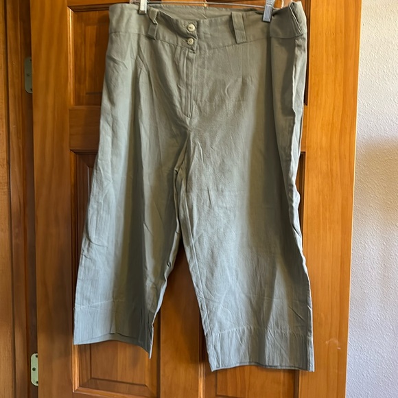 Capris - Picture 1 of 2